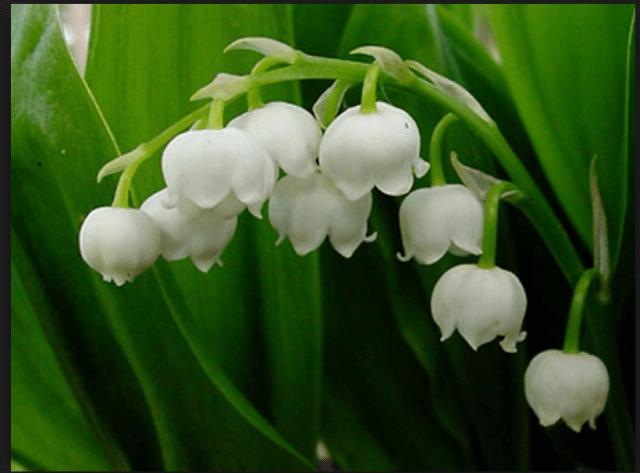 Schermata 2016-07-24 alle 20.09.16