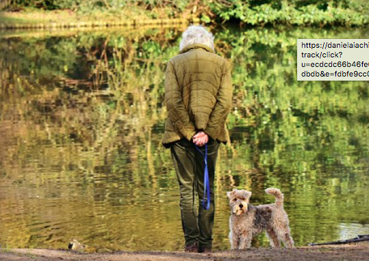 Schermata 2019-05-29 alle 12.20.41